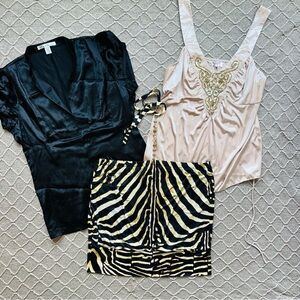 Silky Neutral Women’s Blouses Dressy Tops Women’s XL Bundle Set